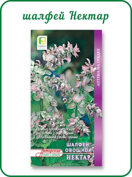 картинка Набор семян прованские травы, набор 5 пак. от магазина Greentips