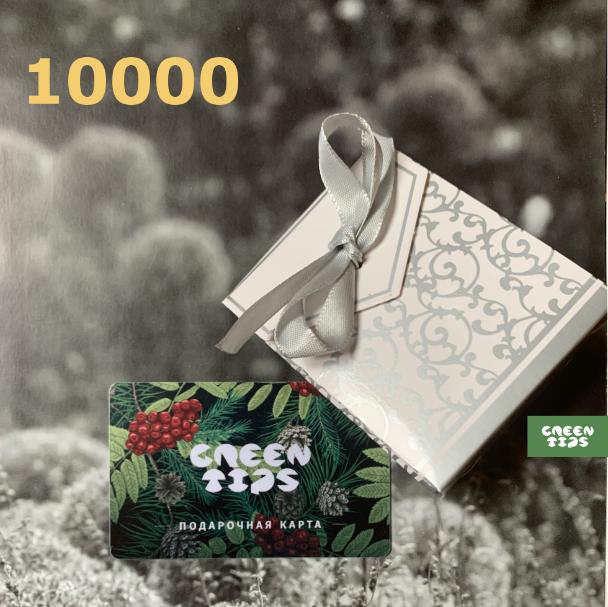 картинка Пластиковый подарочный сертификат 10000 от магазина Greentips