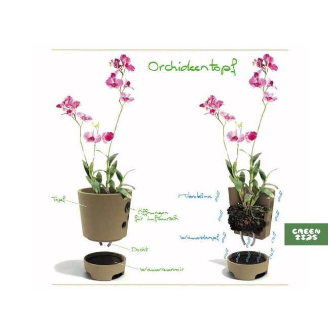 Горшок для орхидеи в магазине Greentips